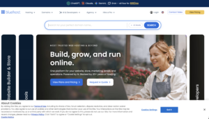 BlueHost Review